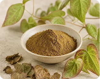 Green herbal leaf powder in a bowl with fresh heart-shaped leaves
